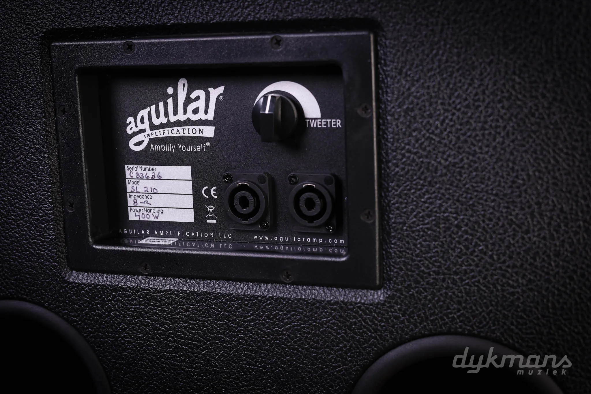 Aguilar SL210X8