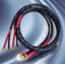 DH Labs Q-10 Signature Speaker Cable