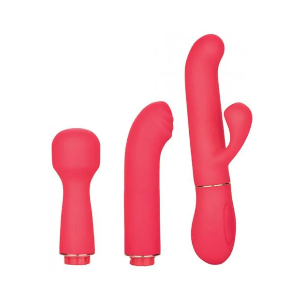 In Touch Passion Trio Pink Vibrator Kit