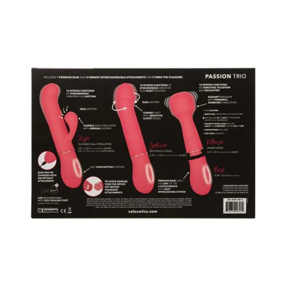 In Touch Passion Trio Pink Vibrator Kit