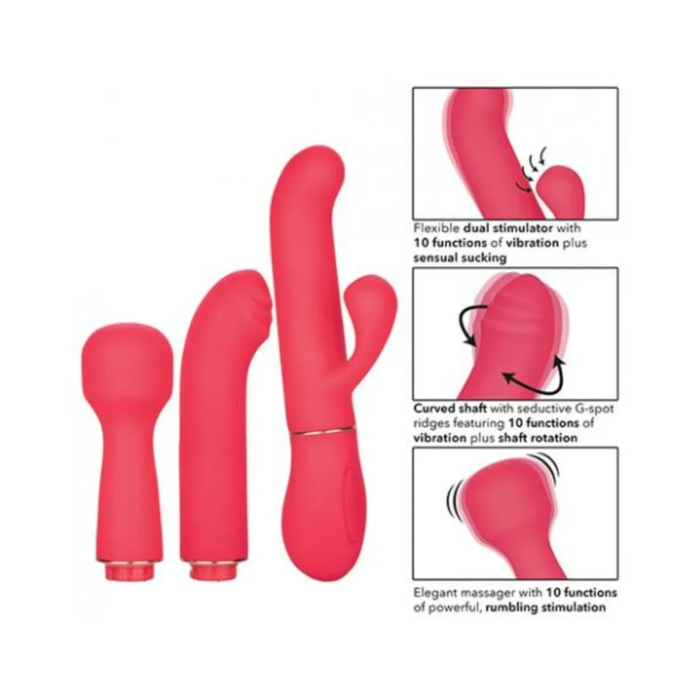 In Touch Passion Trio Pink Vibrator Kit